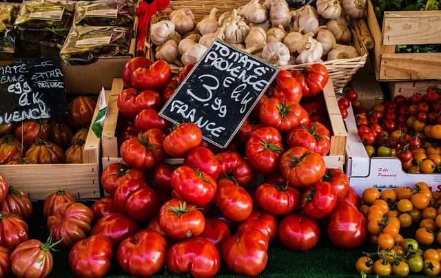 Les meilleures pratiques pour choisir des pièces agricoles écologiques