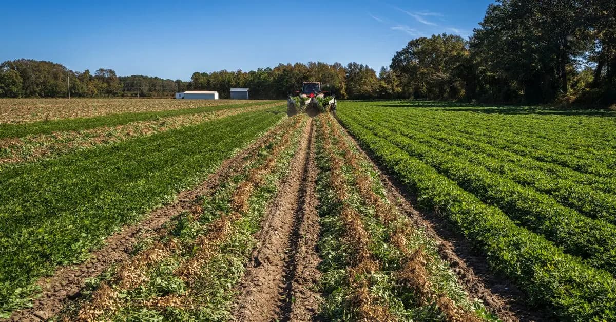Comment s'assurer de la durabilité des pièces agricoles