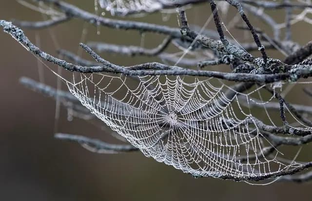 Comment choisir les pièces agricoles adaptées à votre machine