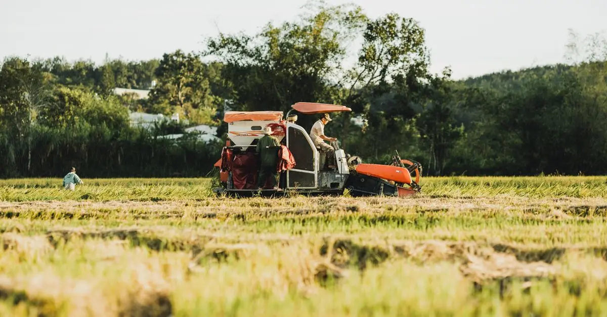 Comment identifier les pièces agricoles essentielles pour votre matériel