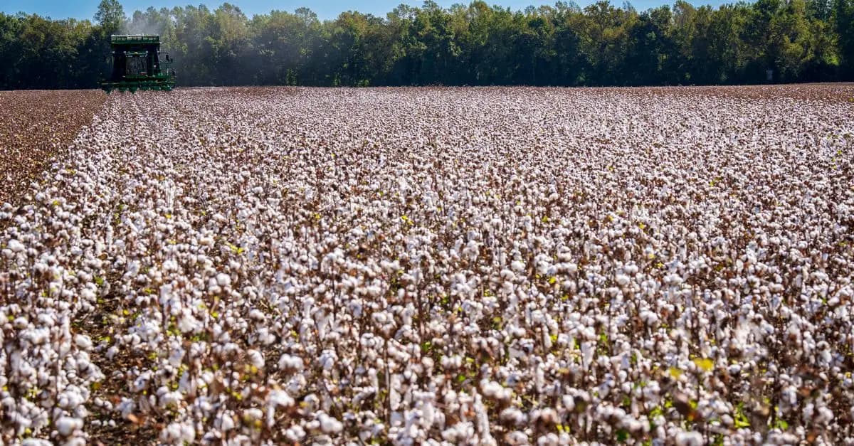 Comment choisir les pièces agricoles pour les cultures durables