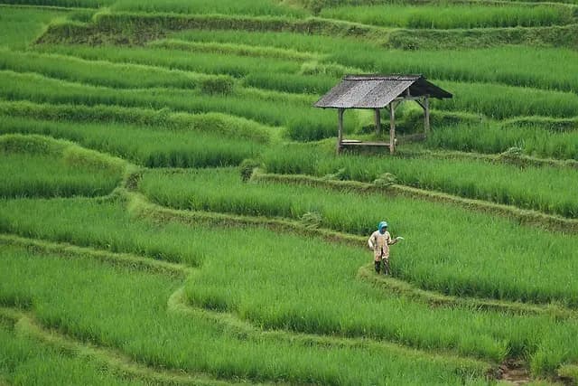 Comment choisir des pièces agricoles durables pour votre équipement