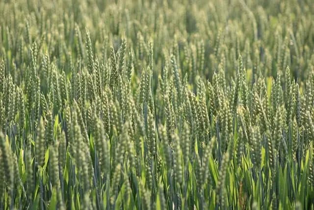 Comment sélectionner des pièces agricoles durables et efficaces