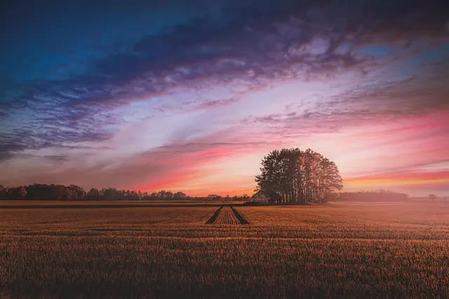 Comment choisir les pièces agricoles pour optimiser vos récoltes