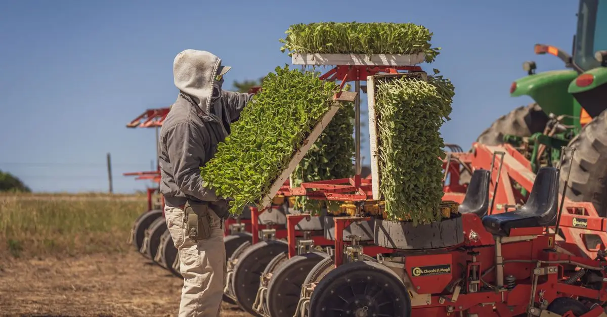 Comment choisir les pièces agricoles pour optimiser votre rendement