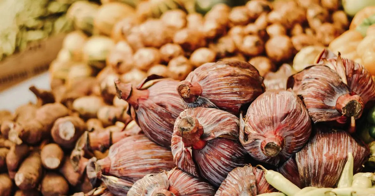 Comment vérifier l'origine de vos pièces agricoles pour garantir qualité