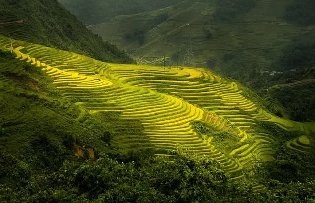 Comment choisir les pièces agricoles pour une performance optimale