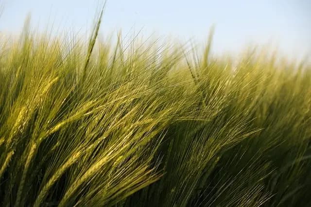 Comprendre les différentes catégories de pièces agricoles