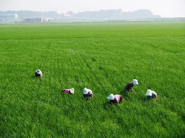 Les 5 erreurs à éviter lors de l'achat de pièces agricoles