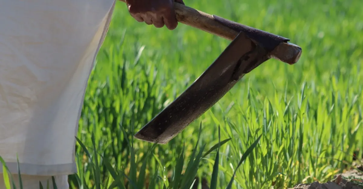 Top 10 des pièces agricoles à connaître pour réussir vos cultures
