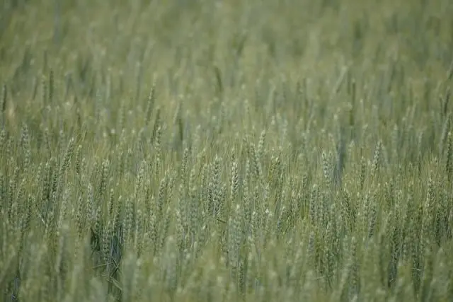 Comment choisir des pièces agricoles adaptées à votre culture