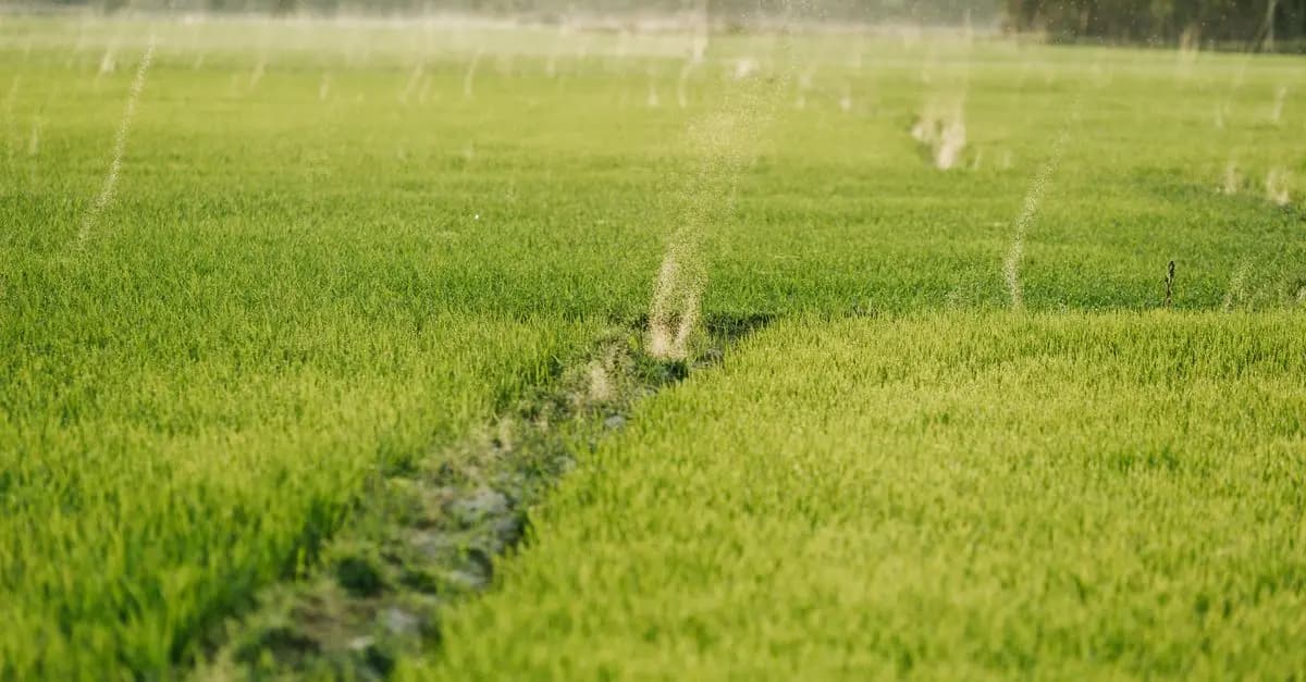 Les meilleures pratiques pour choisir des pièces agricoles durables