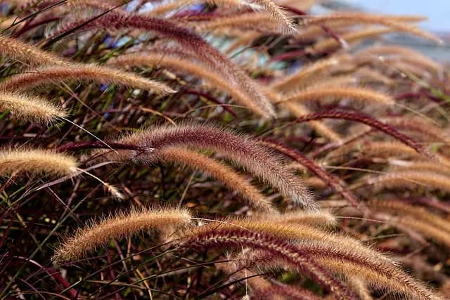 Guide pour choisir vos pièces agricoles écologiques