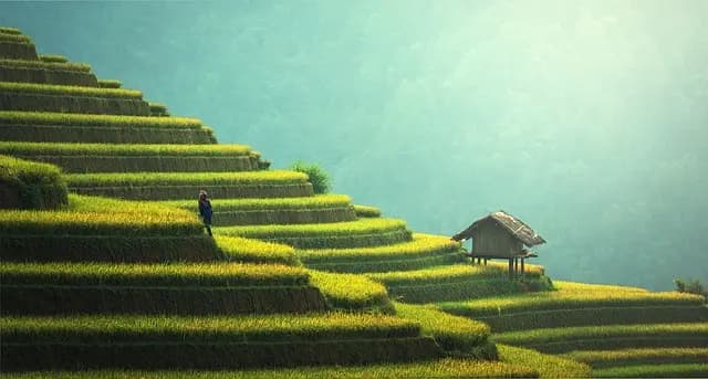 Comment choisir des pièces agricoles écologiques pour votre équipement