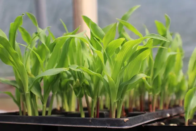 Comment choisir les pièces agricoles adaptées à vos cultures