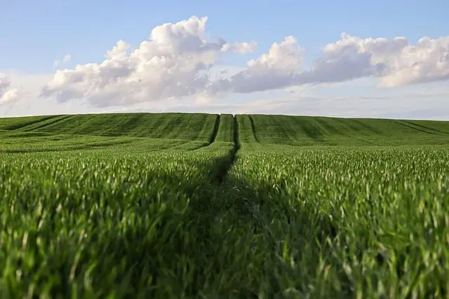 Les erreurs fréquentes à éviter lors de l'achat de pièces agricoles