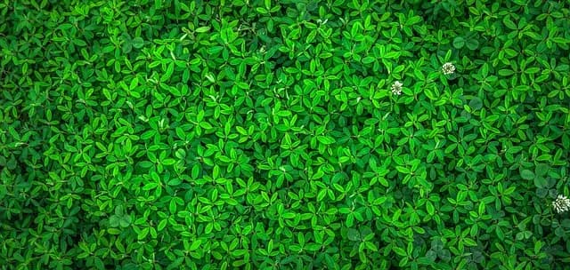 Comment choisir des pièces agricoles écologiques pour votre équipement
