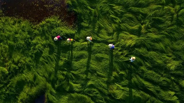 Les meilleures pièces agricoles pour différentes cultures