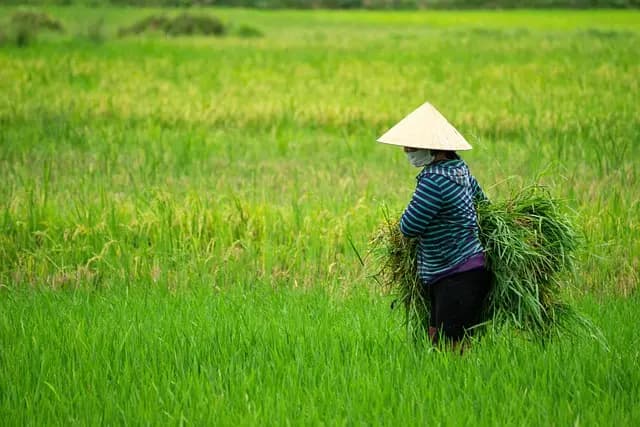 Les pièces agricoles indispensables pour maximiser votre rendement
