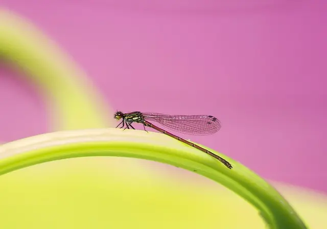 Comment vérifier la compatibilité des pièces agricoles avec votre matériel