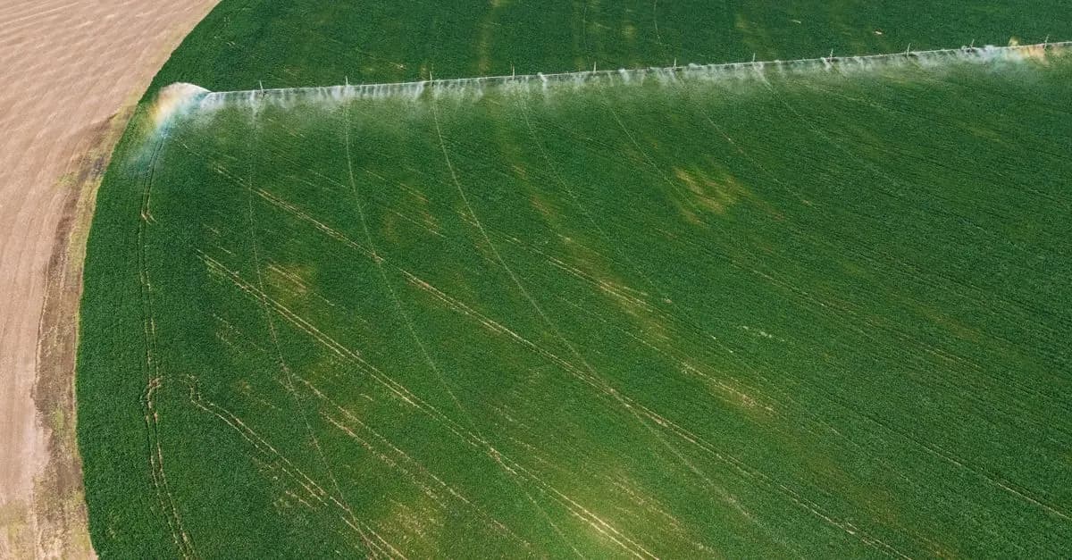 Les avantages des pièces agricoles écologiques pour votre ferme