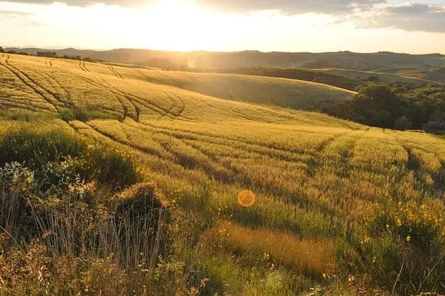 Comment choisir les pièces agricoles pour maximiser votre rendement