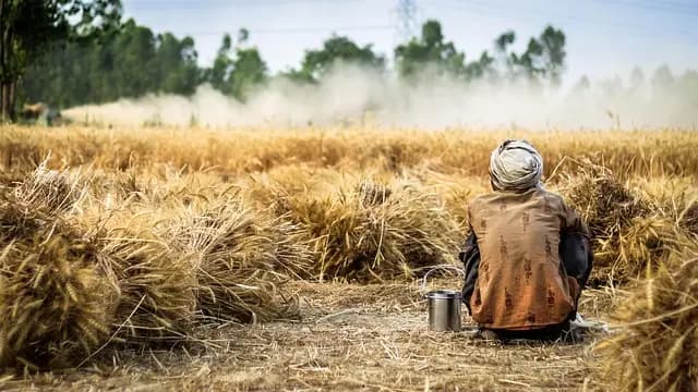 Comment choisir les pièces agricoles selon votre culture