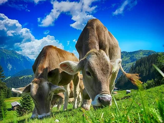 Comment identifier les pièces agricoles à remplacer rapidement
