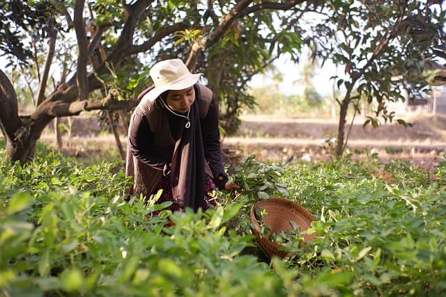 Comment choisir les pièces agricoles en fonction de votre budget