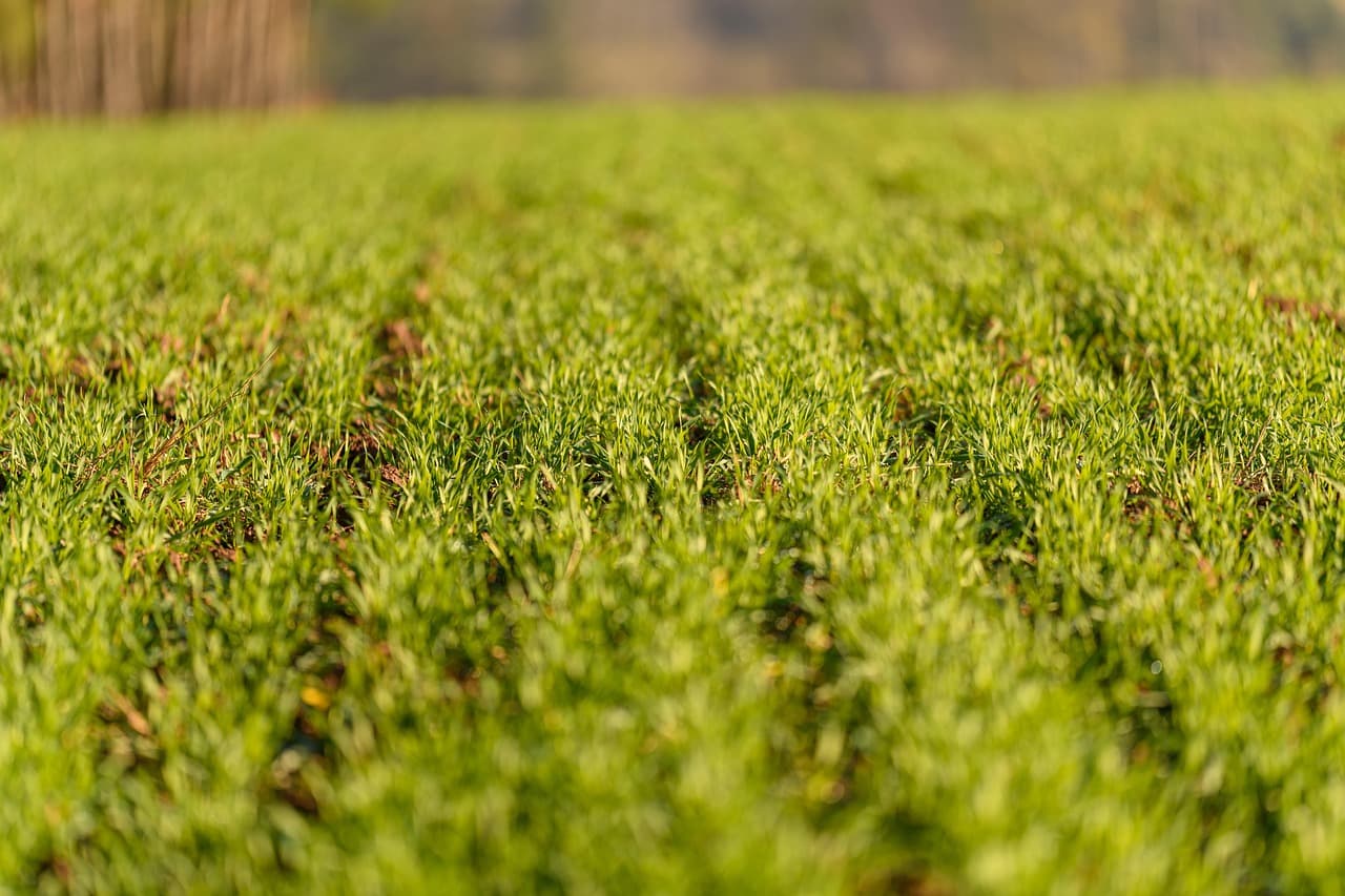 Les meilleures pratiques pour choisir des pièces agricoles écologiques