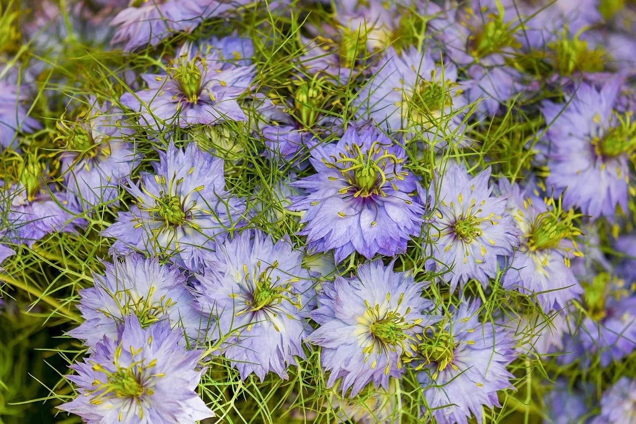 Les dernières innovations dans les pièces agricoles