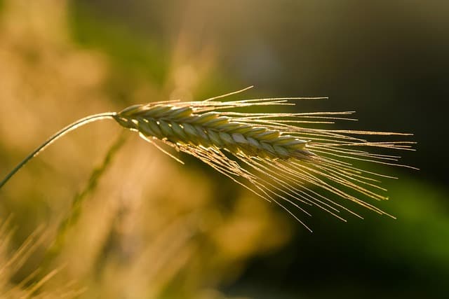 Comment détecter l'usure des pièces agricoles efficacement