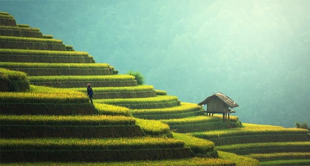 Comment choisir des pièces agricoles durables pour votre équipement