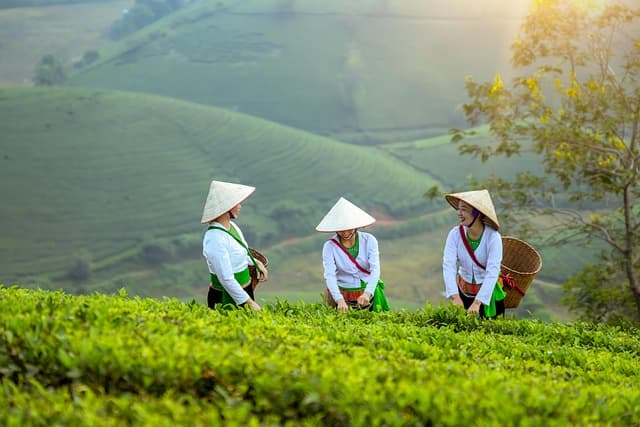 Les meilleures pièces agricoles pour votre équipement