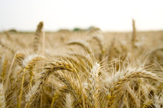 Comment choisir les pièces agricoles en fonction de votre matériel