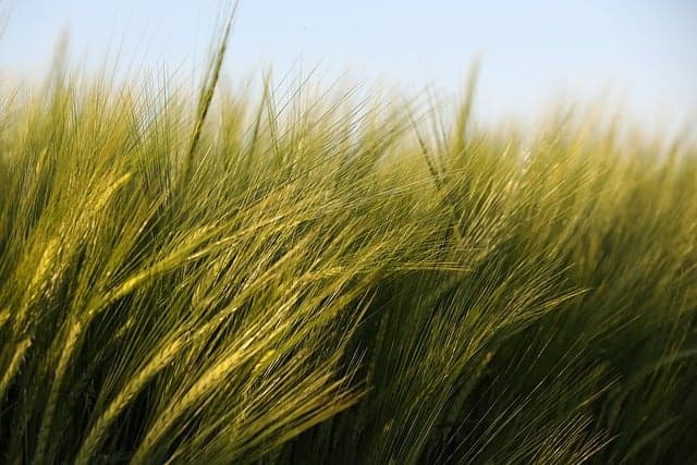 Comment choisir le matériel adapté pour vos pièces agricoles