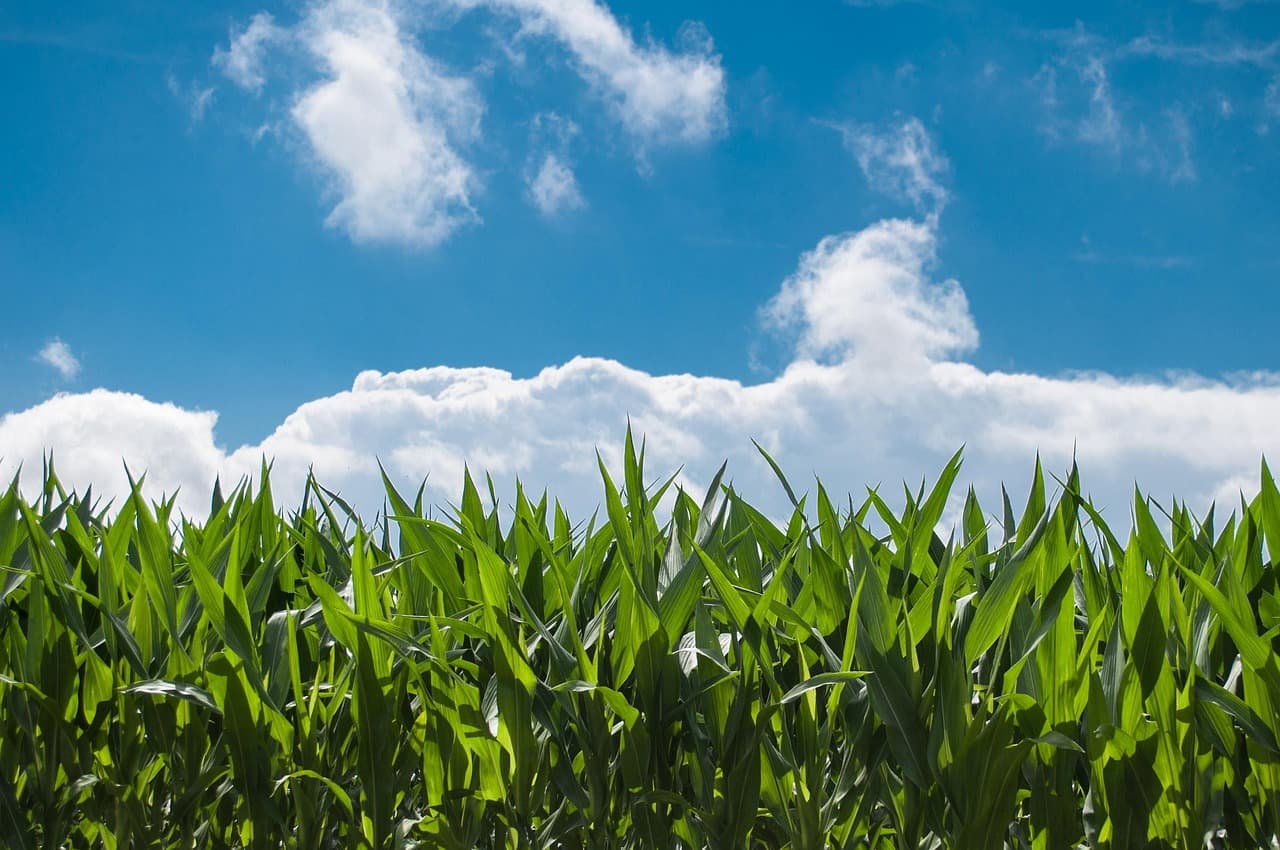 Comment le choix des pièces agricoles impacte la durabilité de votre matériel