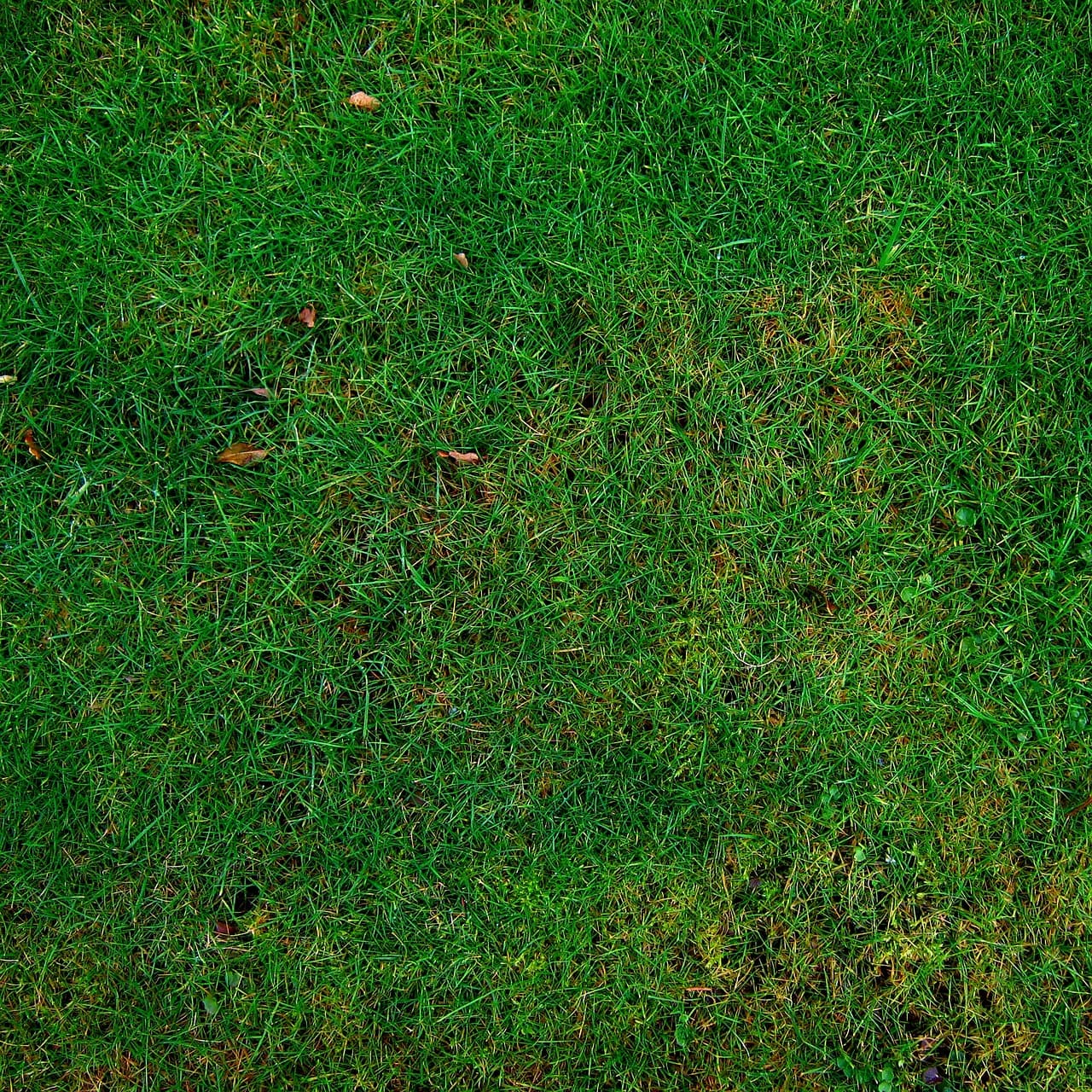 Comment choisir des pièces agricoles écologiques pour votre équipement