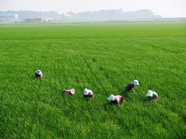 Comment choisir des pièces agricoles pour maximiser votre rendement