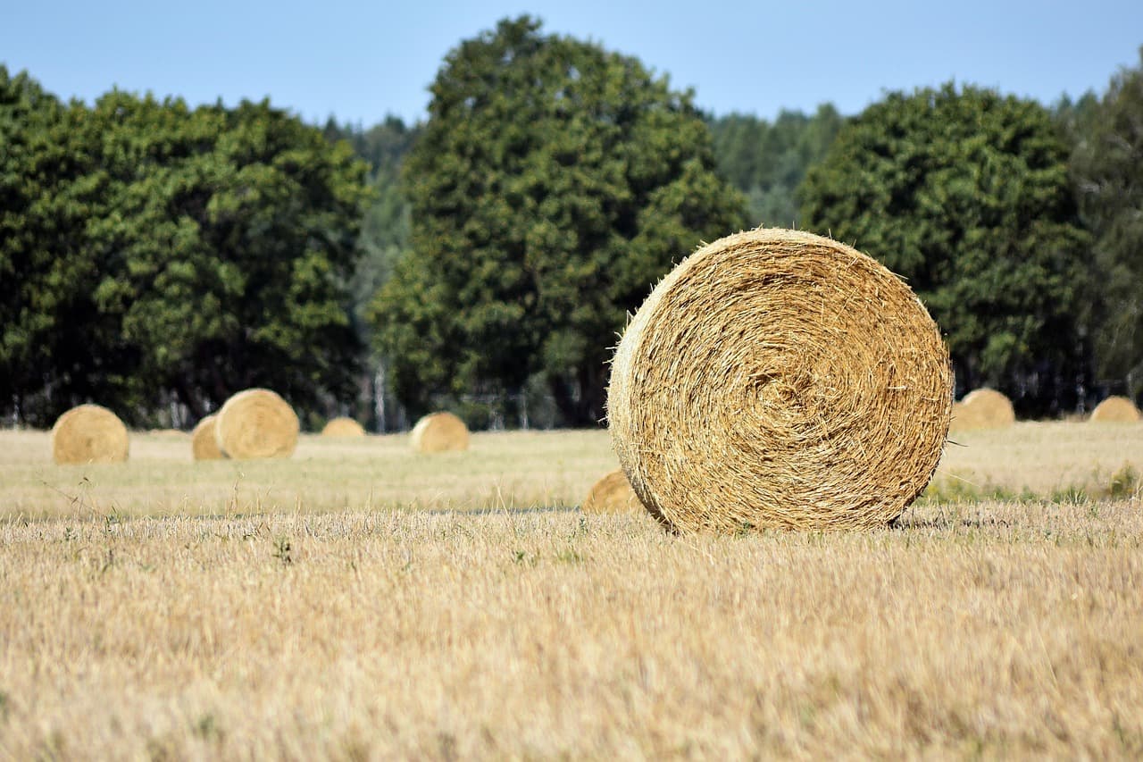 Comment choisir les pièces agricoles selon les saisons