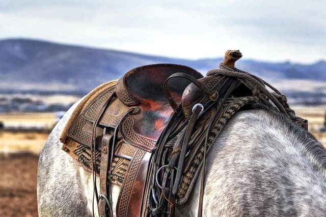 10 erreurs courantes à éviter lors de l'achat de pièces agricoles