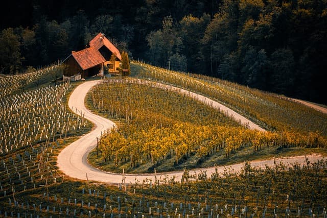 Comment choisir des pièces agricoles pour maximiser votre rendement