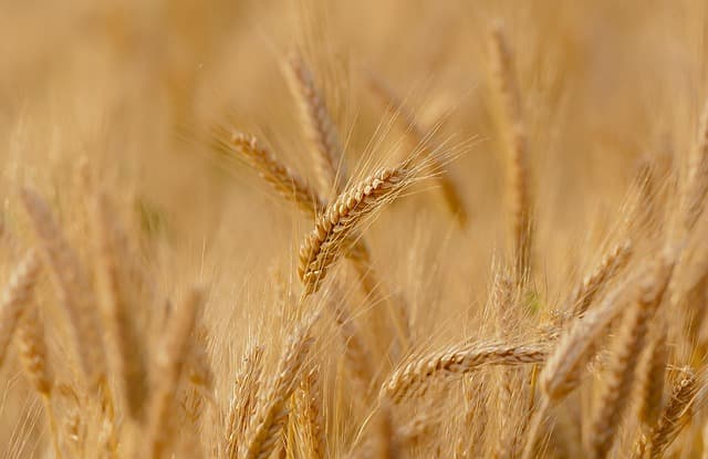 Les pièces agricoles indispensables pour maximiser votre récolte