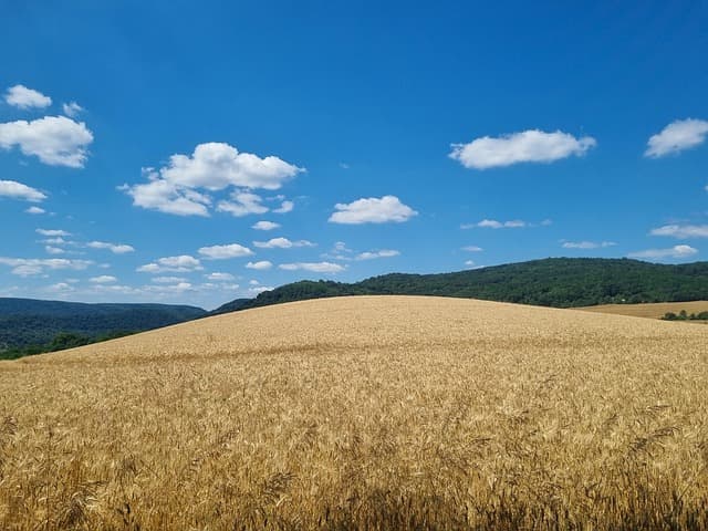 Comment choisir les pièces agricoles pour garantir performance